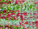 Click here for an enlarged view of the fabric in stripes