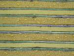 Click here for an enlarged view of the fabric in stripes